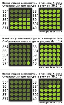  NexTemp /       -   